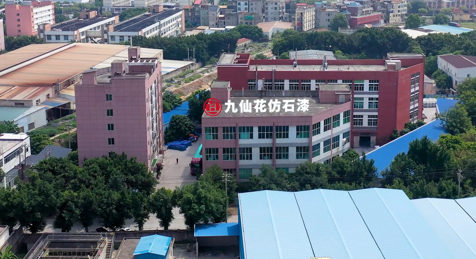 “仿石漆界的小米”九仙花“掛車王”是如何練成的